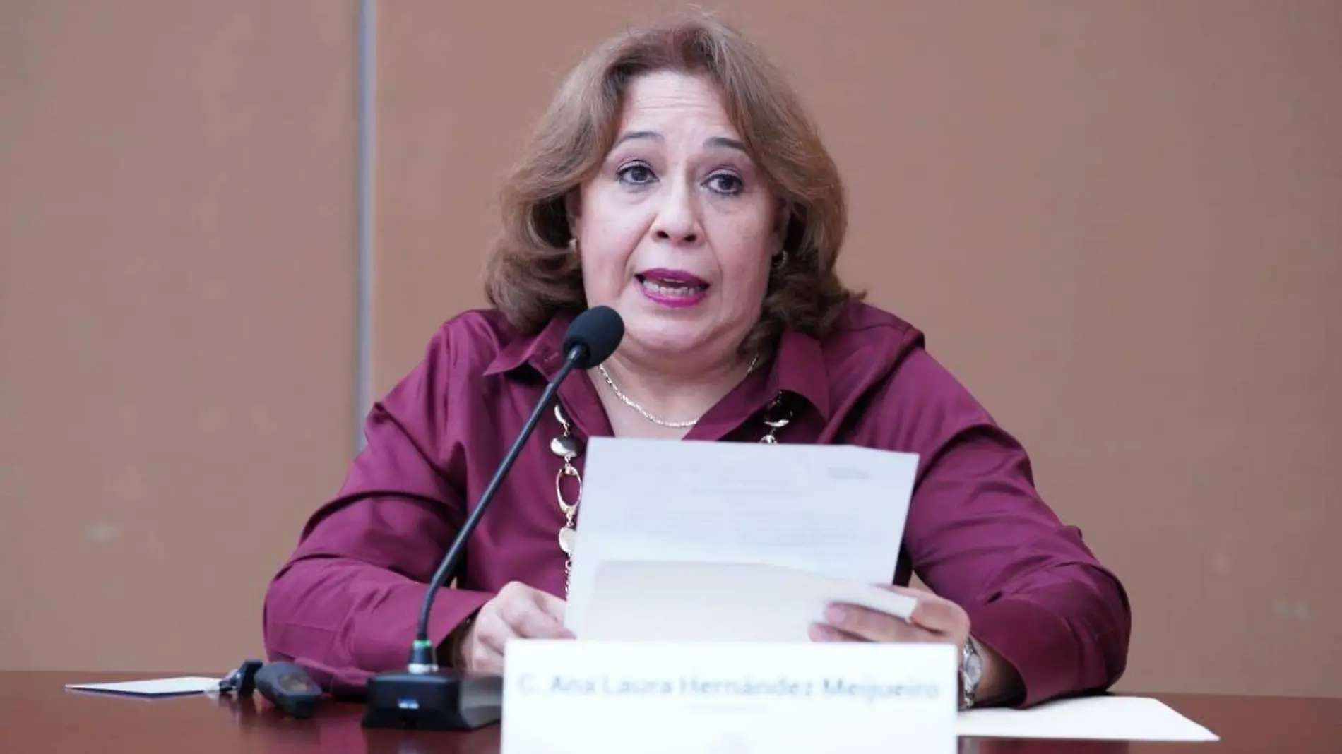 Ana Laura Hernández Meijueiro